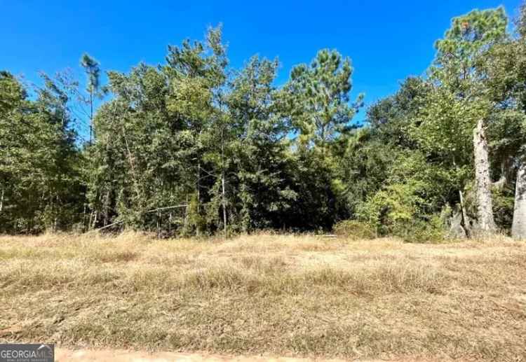 Land For Sale in Dublin, Georgia