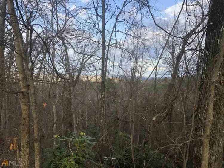 Land For Sale in Georgia