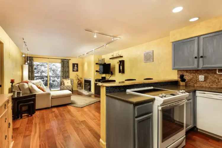 Aspen Downtown 1-Bedroom Apartment Rental