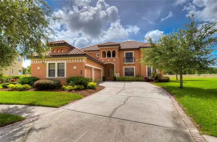 Single-family house For Sale in 20103, Shady Hill Lane, Tampa, Florida