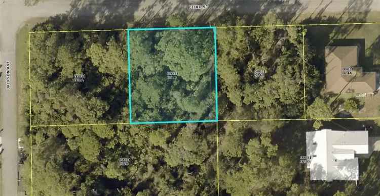 Land For Sale in Lehigh Acres, Florida