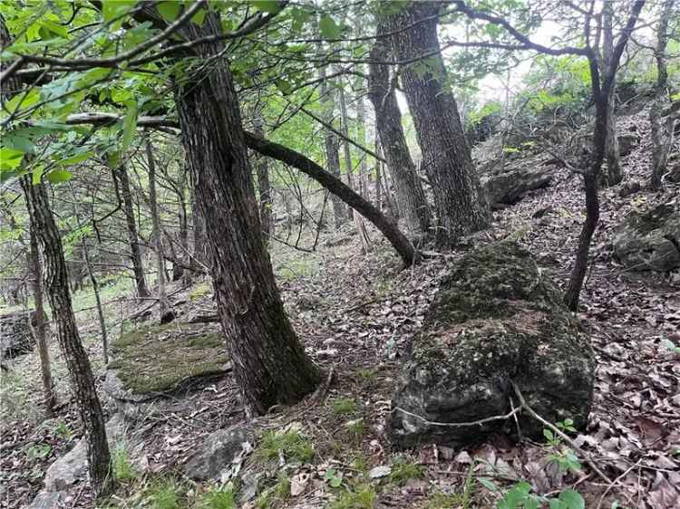 Land For Sale in Eureka Springs, Arkansas