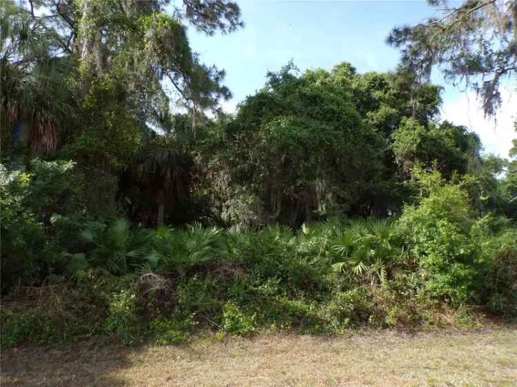 Land For Sale in Port Charlotte, Florida