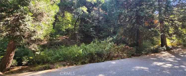 Land For Sale in Lake Arrowhead, California