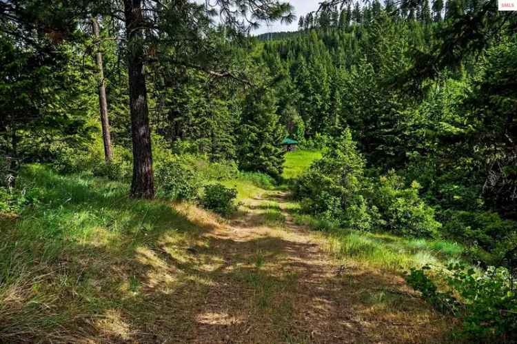 Land For Sale in 139, Two Tail Road, Bonners Ferry, Idaho