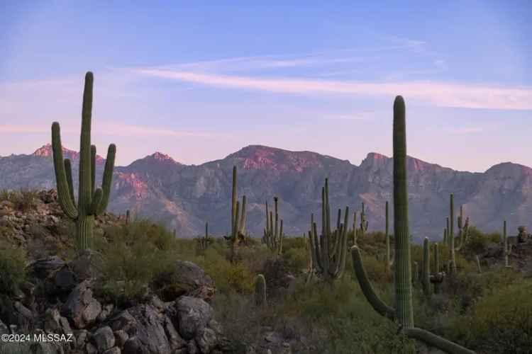 Land For Sale in 1535, West Tortolita Mountain Circle, Oro Valley, Arizona