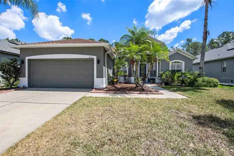 Single-family house For Sale in 19211, Pelican Ridge Lane, Tampa, Florida