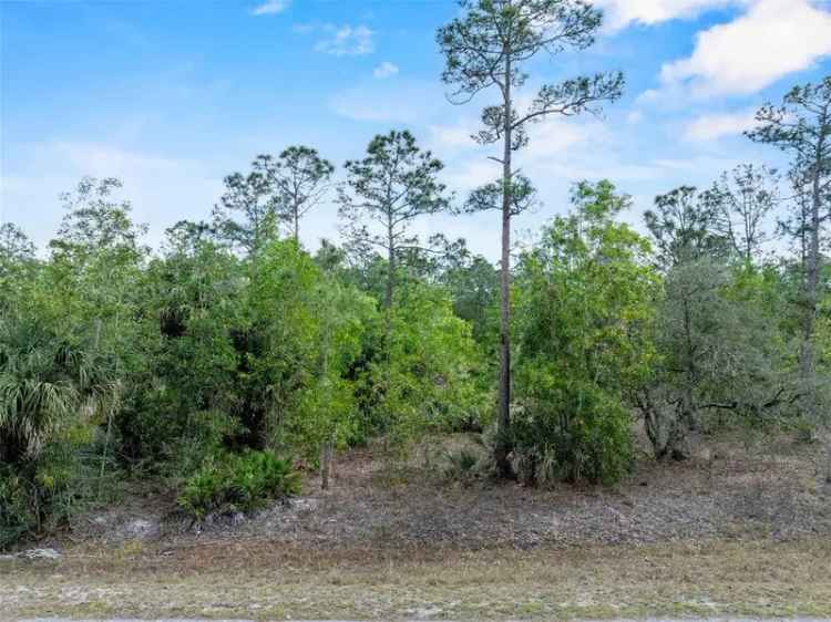 Land For Sale in 220, Johns Avenue, Florida