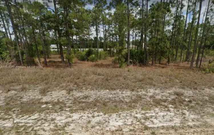 Land For Sale in Florida