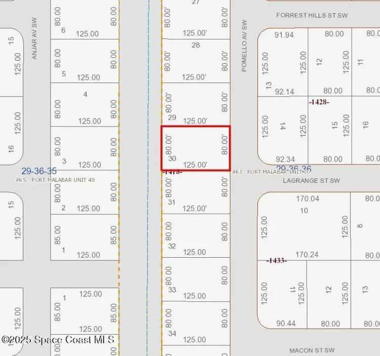 Land For Sale in 2998, Pomello Avenue Southwest, Palm Bay, Florida