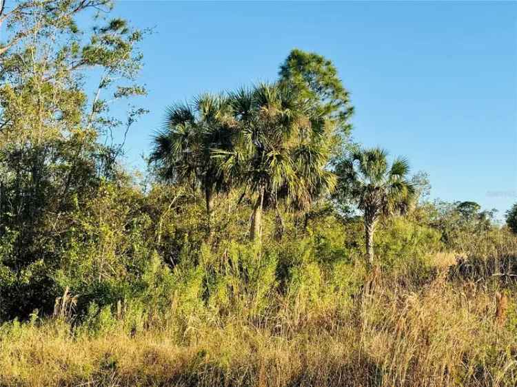 Land For Sale in Punta Gorda, Florida