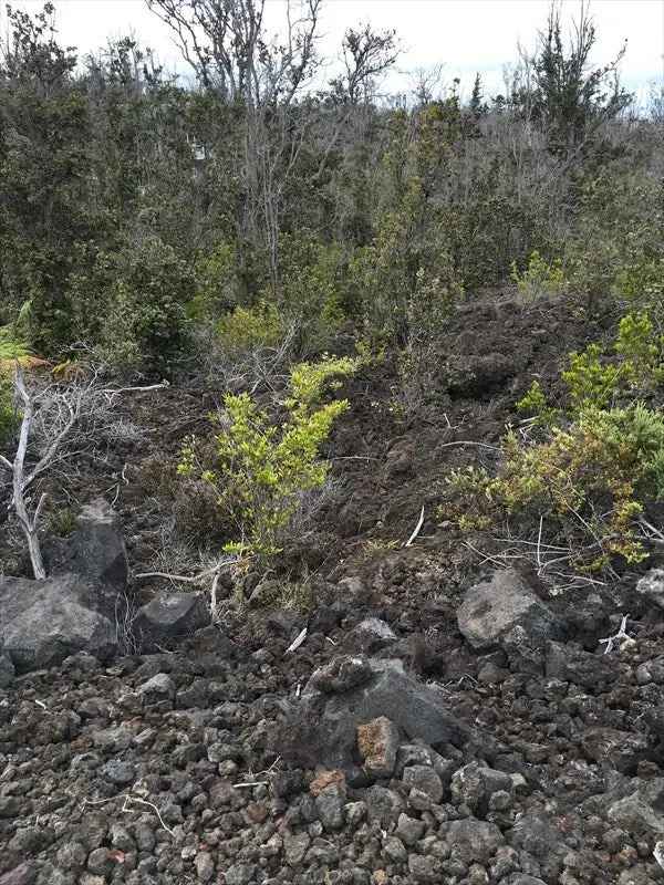 Land For Sale in Hawaiian Ocean View, Hawaii