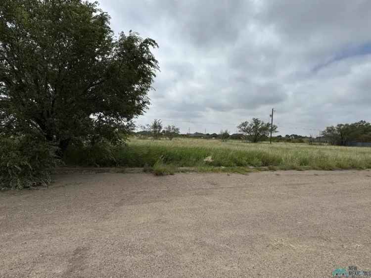 Land For Sale in Portales, New Mexico