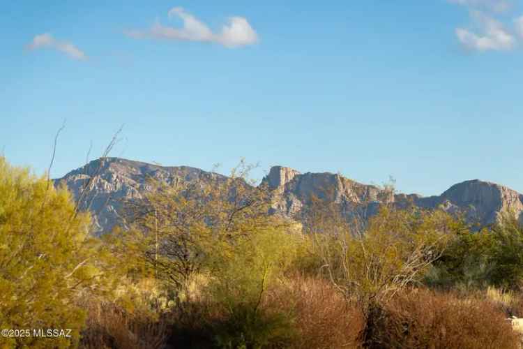 Land For Sale in 14191, North Giant Saguaro Place, Oro Valley, Arizona