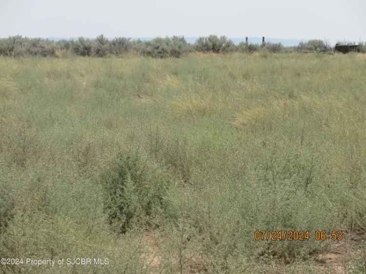 Land For Sale in New Mexico