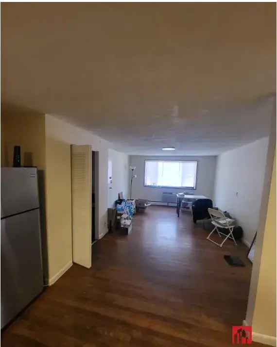 Brookline Apartment near Packards Corner - Updated Kitchen Laundry AC