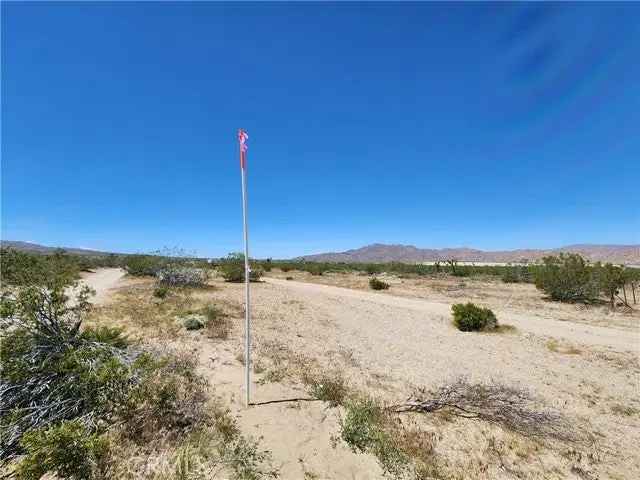 Land For Sale in Lucerne Valley, California