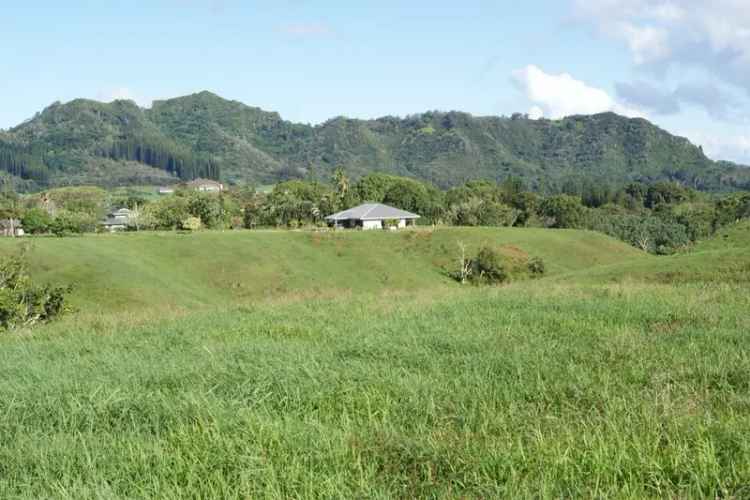 Land For Sale in Kapaa, Hawaii