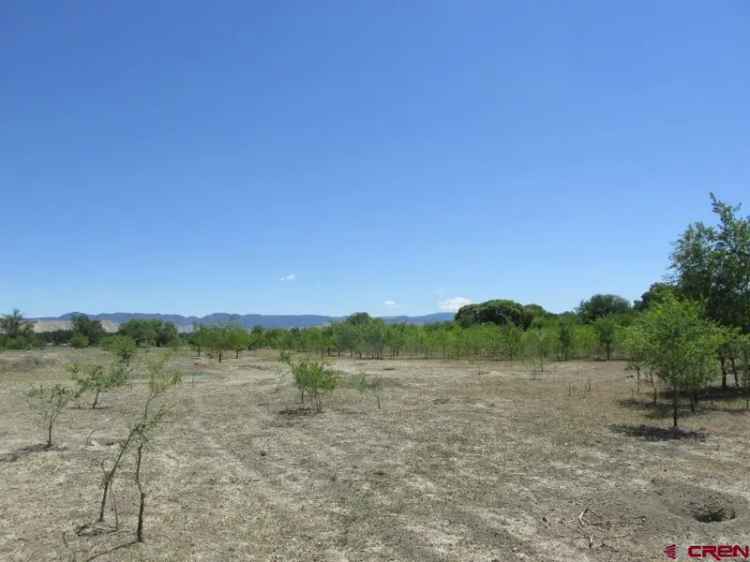 Land For Sale in Montrose, Colorado