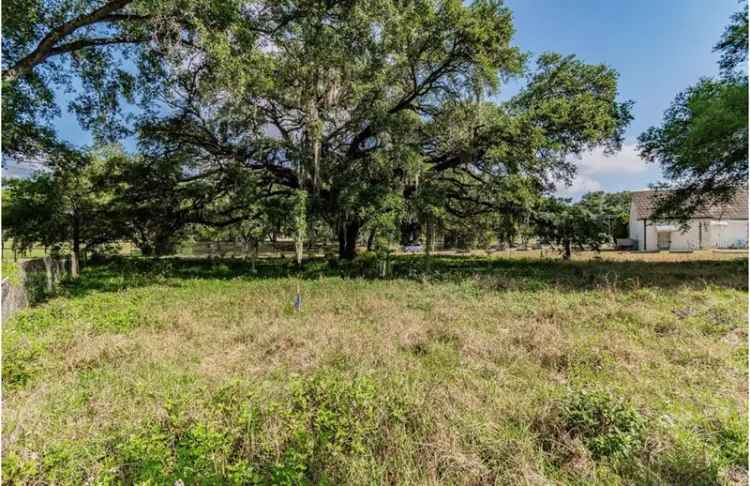 Land For Sale in 4621, East Lake Avenue, Tampa, Florida