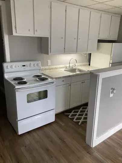 1 Bedroom Apartment for Rent - Free Utilities