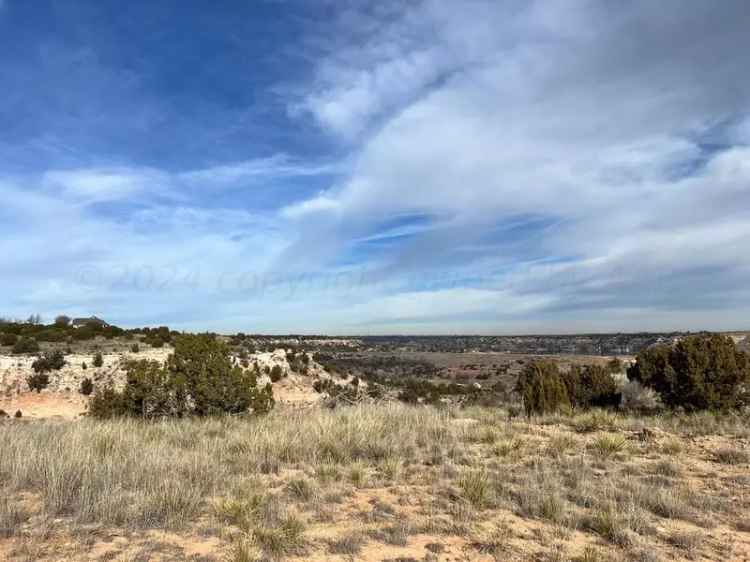 Land For Sale in Texas