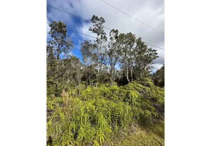 Land For Sale in Volcano, Hawaii