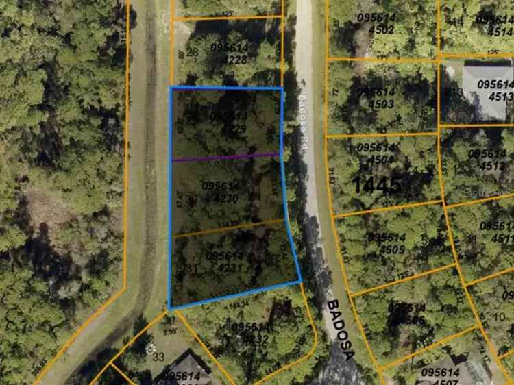 Land For Sale in Florida