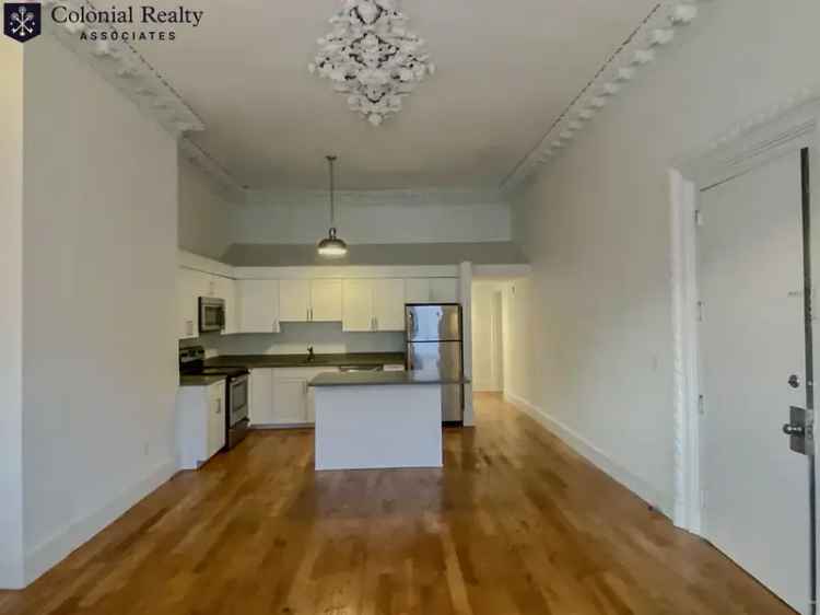 2-Bed South End Apartment - Updated Kitchen Hardwood Floors Cat Friendly