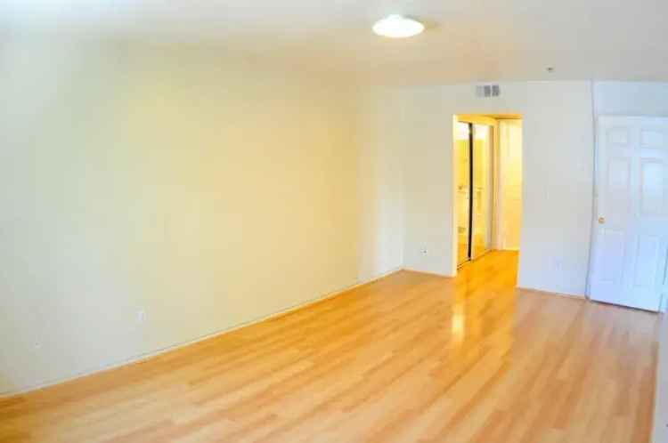 Large Apartments near USC Campus - Spacious Rooms