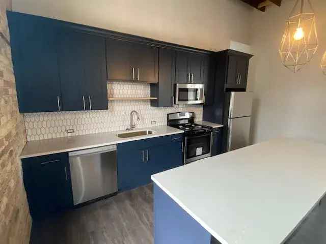 Wicker Park Loft 2 Bed 2 Bath 1600 Sq Ft Recently Refurbished