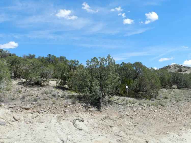 Las Vistas NM Dream Home Building Lots with Stunning Views