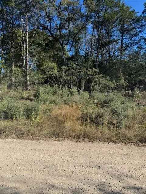 Land For Sale in 115, Helemano Drive, Texas