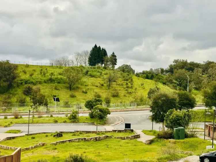 Luxury Single Family Home in Santa Rosa