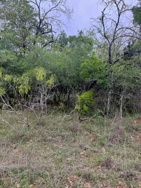 Land For Sale in 148, Helemano Drive, Texas