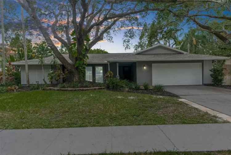 Single-family house For Sale in 939, Woodland Drive, Palm Harbor, Florida