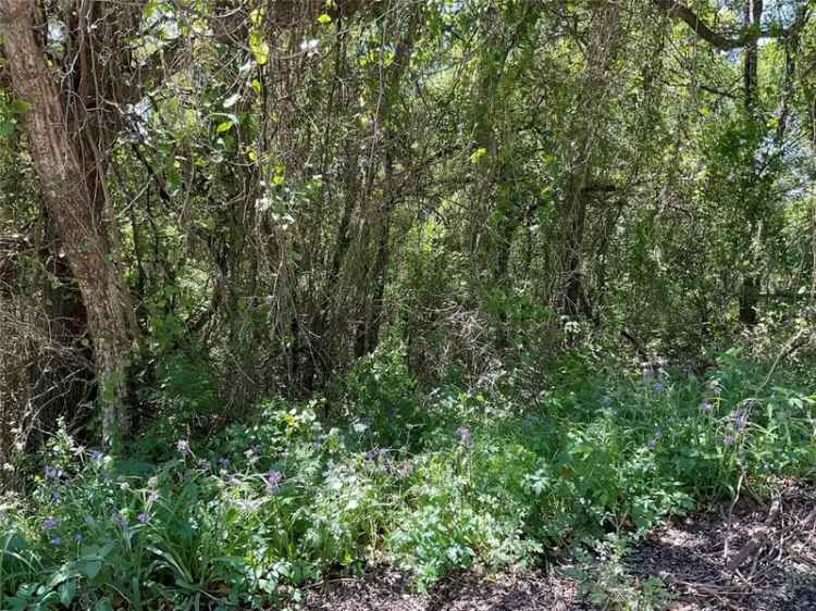 Land For Sale in 4204, Kings Court, Texas