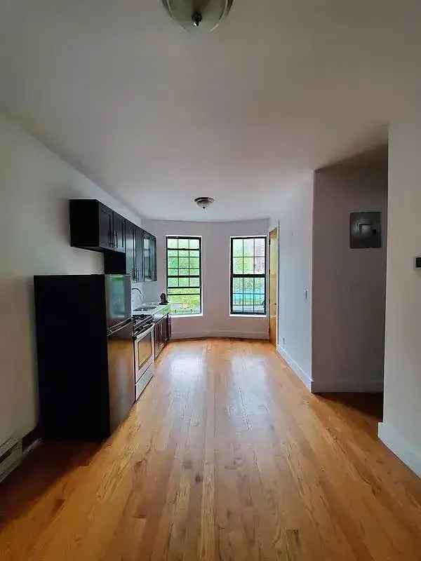 1 Bedroom Apartment near Brower Park Crown Heights