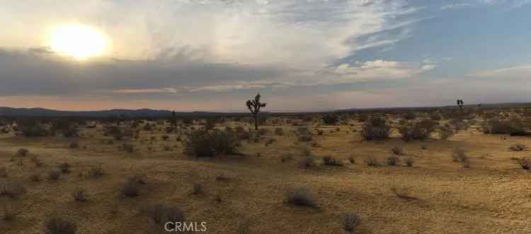 Land For Sale in Adelanto, California