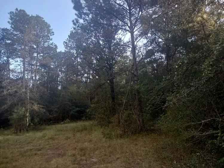 Land For Sale in Picayune, Mississippi