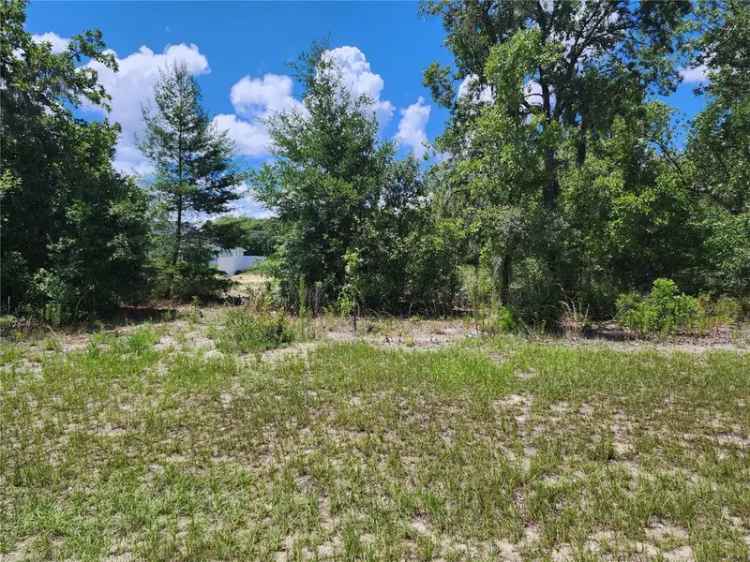 Land For Sale in Ocala, Florida