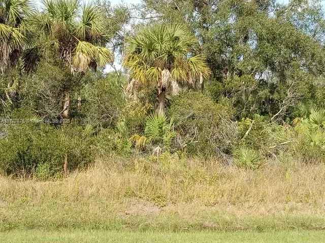 Land For Sale in 26054, Notre Dame Boulevard, Punta Gorda, Florida