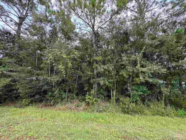 Land For Sale in Lillian, Alabama