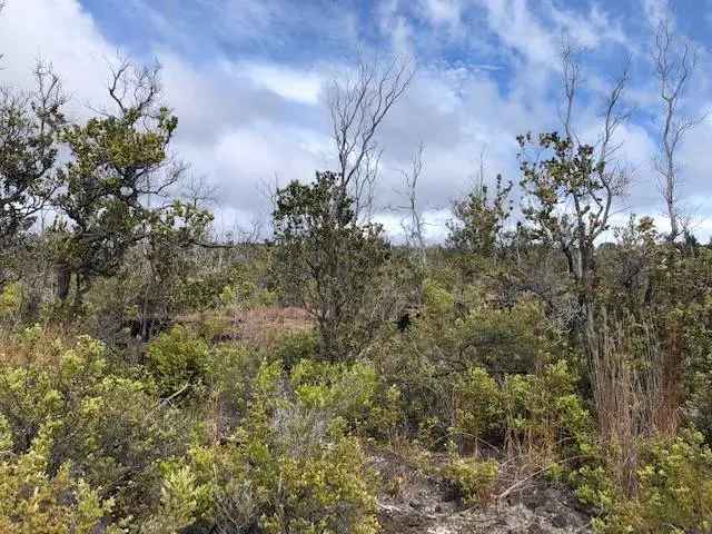 Land For Sale in Hawaiian Ocean View, Hawaii