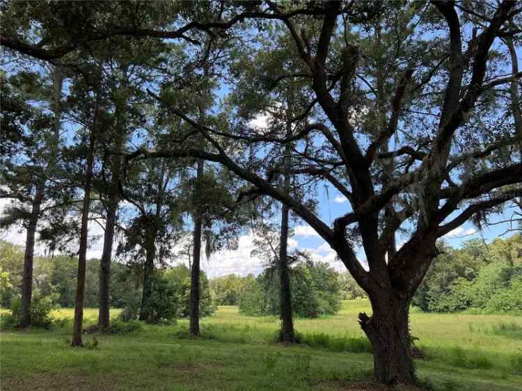 Land For Sale in Ocala, Florida