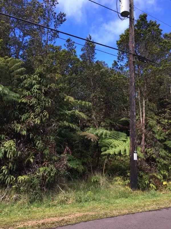 Land For Sale in Volcano, Hawaii