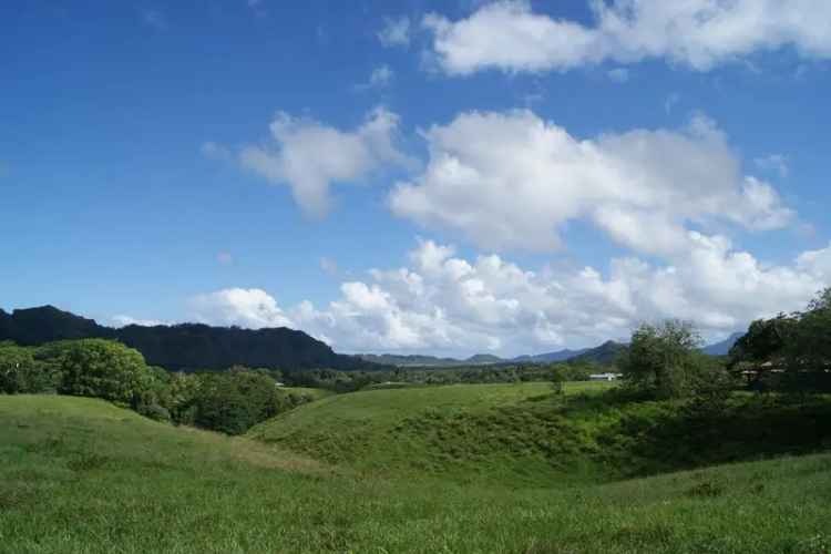 Land For Sale in Kapaa, Hawaii