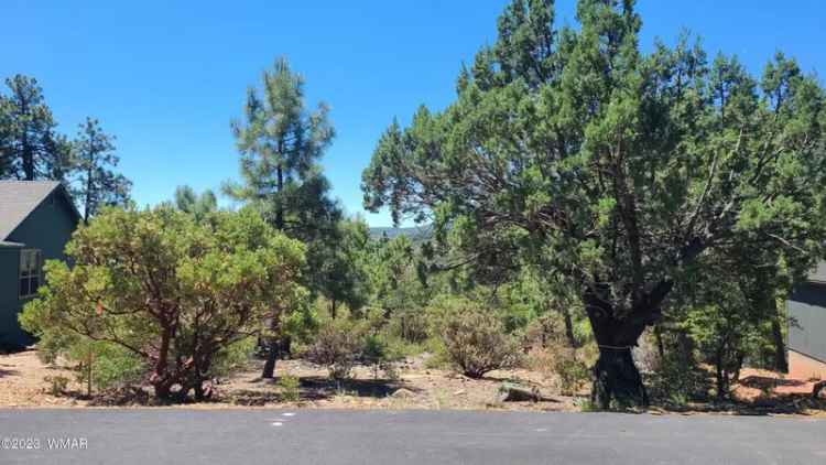 Land For Sale in Pine, Arizona