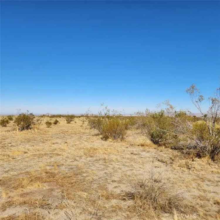 Land For Sale in Piñon Hills, California