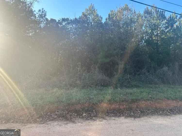 Land For Sale in 20, John R. Williams Highway, Covington, Georgia